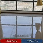 کفسابی در گلها