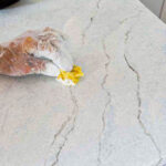 ترمیم سنگ های شکسته