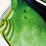 روش های ساده و حرفه ای برای از بین بردن جلبک استخر